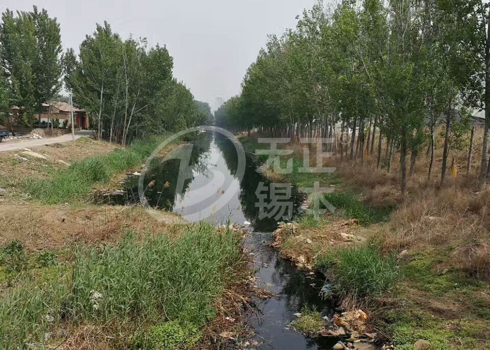 天津西减河200000吨生态修复工程